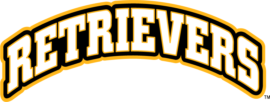 UMBC Retrievers 2010-Pres Wordmark Logo v4 diy DTF decal sticker